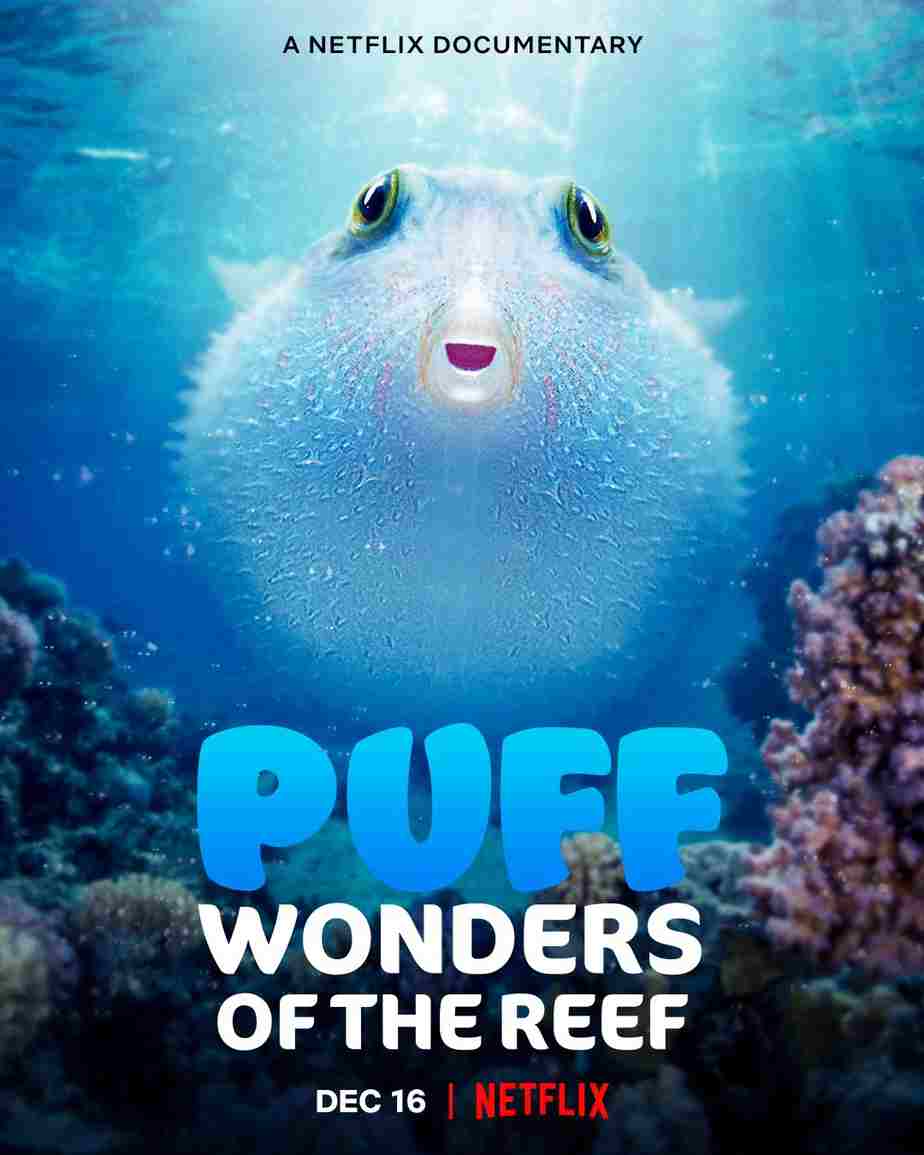 puff wonders of the reef (2021)